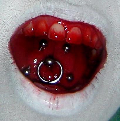 dentrojosmed.jpg